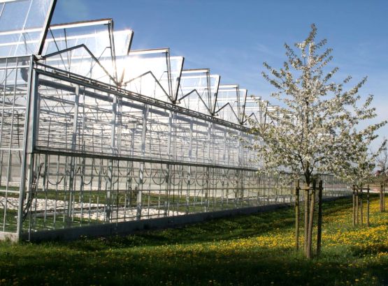 ETFE repair tape - greenhouses
