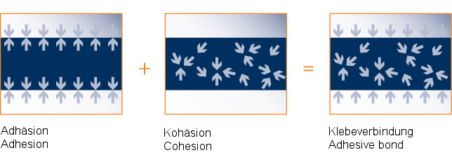 Kohäsion und Adhäsion